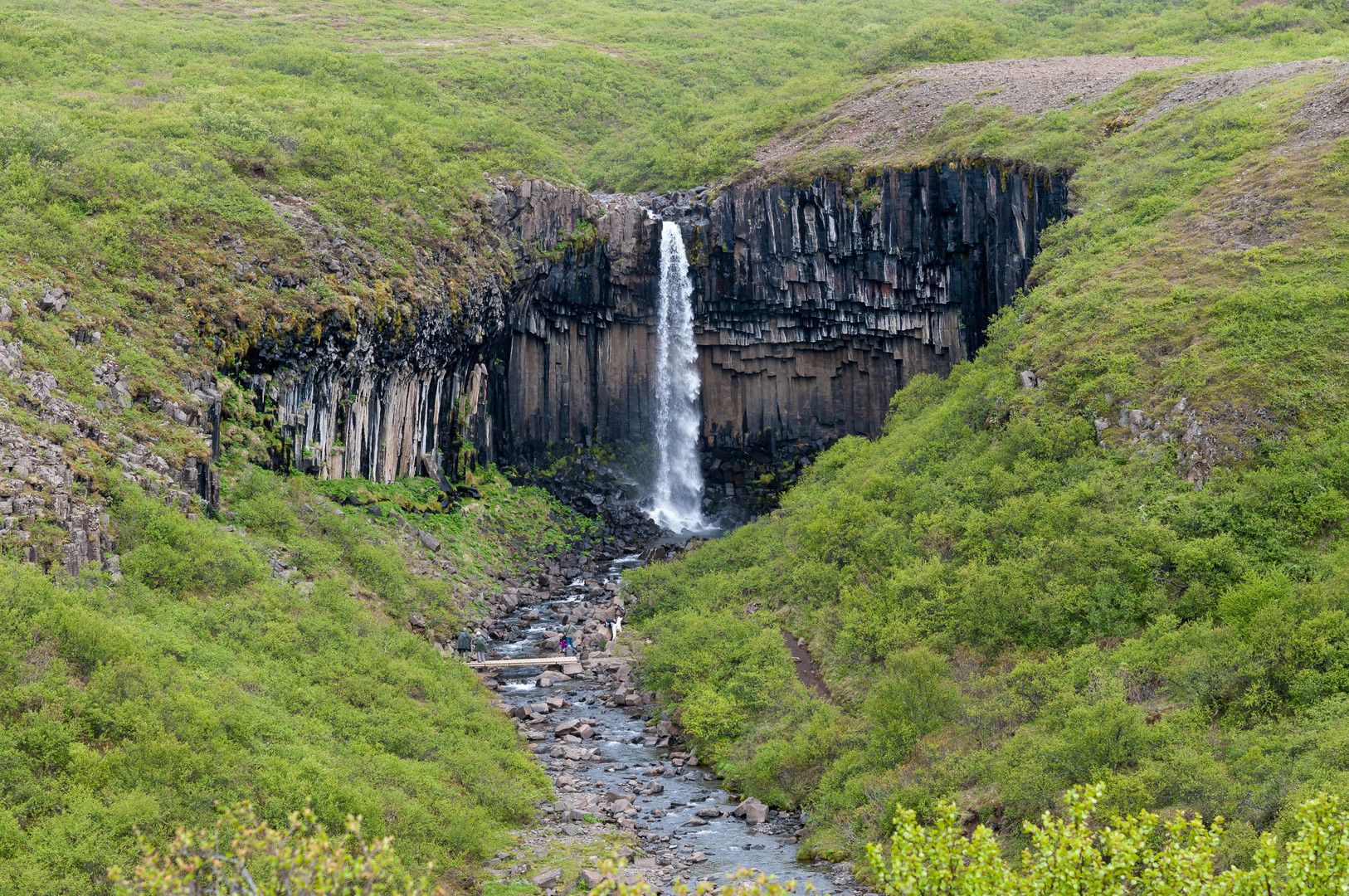 Der Svartifoss mit spektakulärem Basaltvorhang 