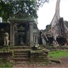 Der Ta Phrom Tempel ...
