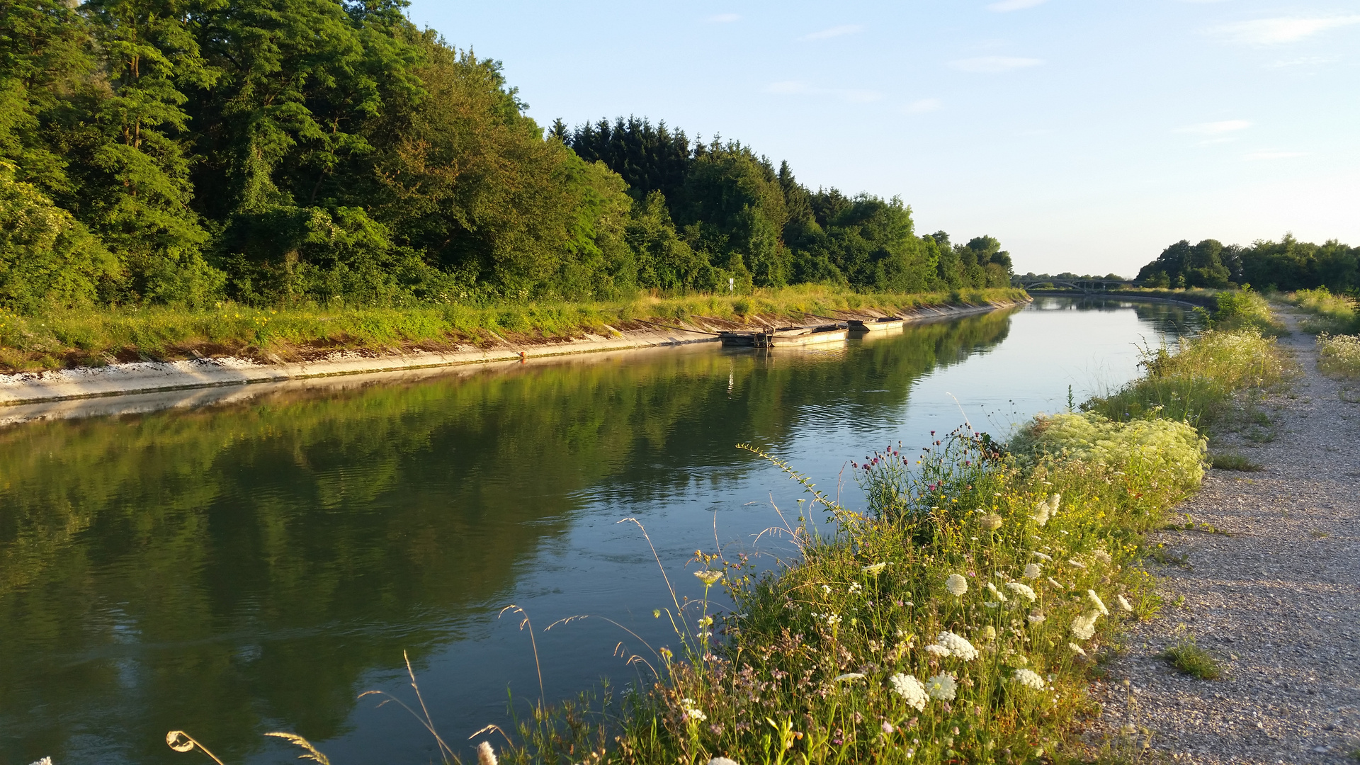 Der tägliche Spaziergang