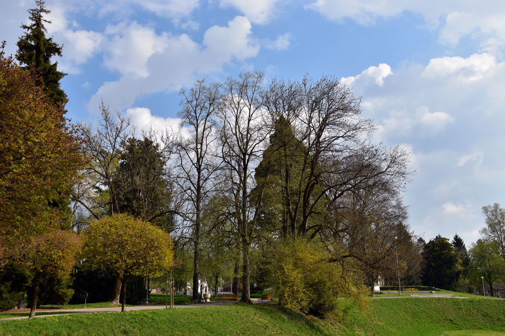 der tägliche Weg