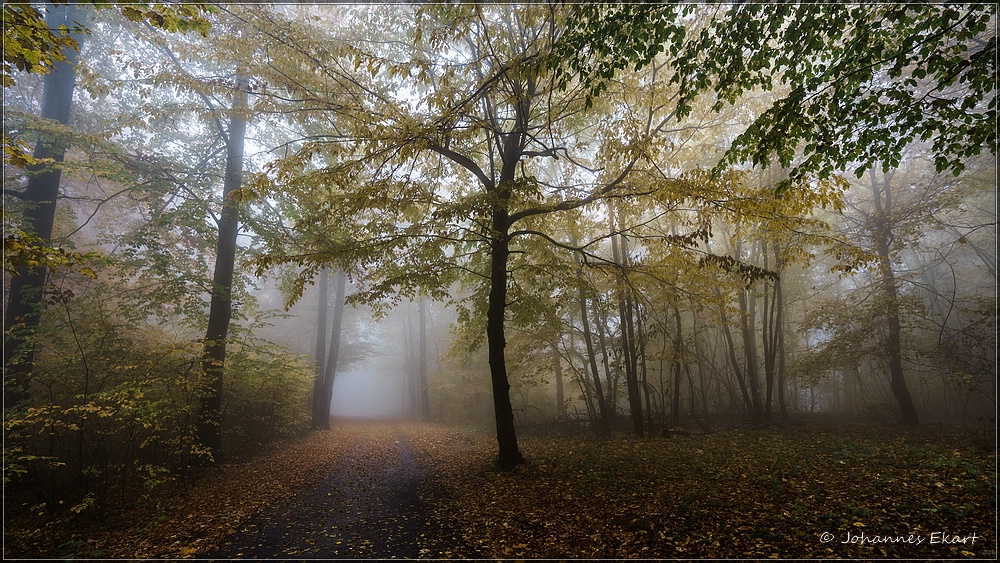 Der Tänzer