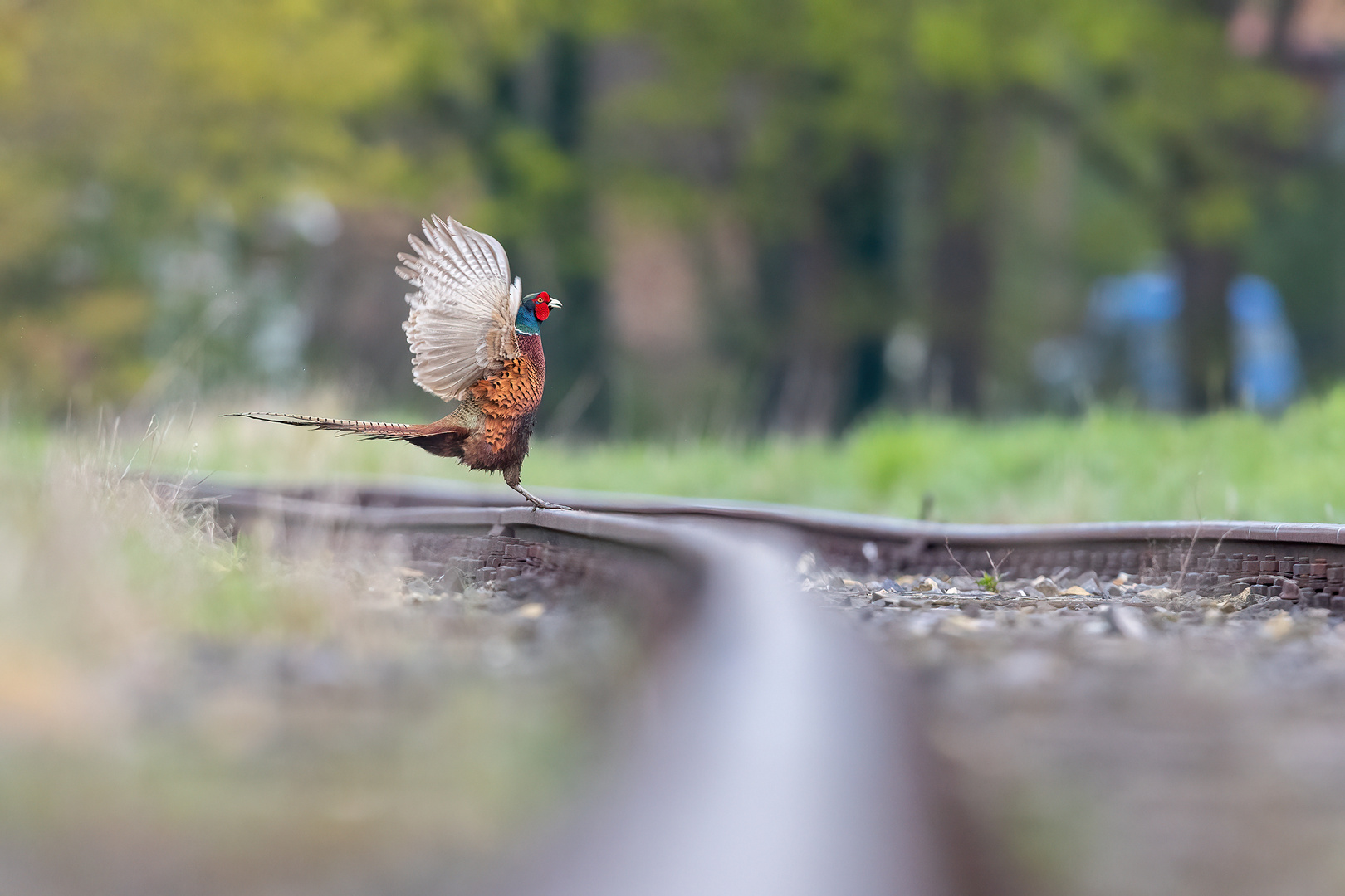 Der Tänzer auf den Schienen