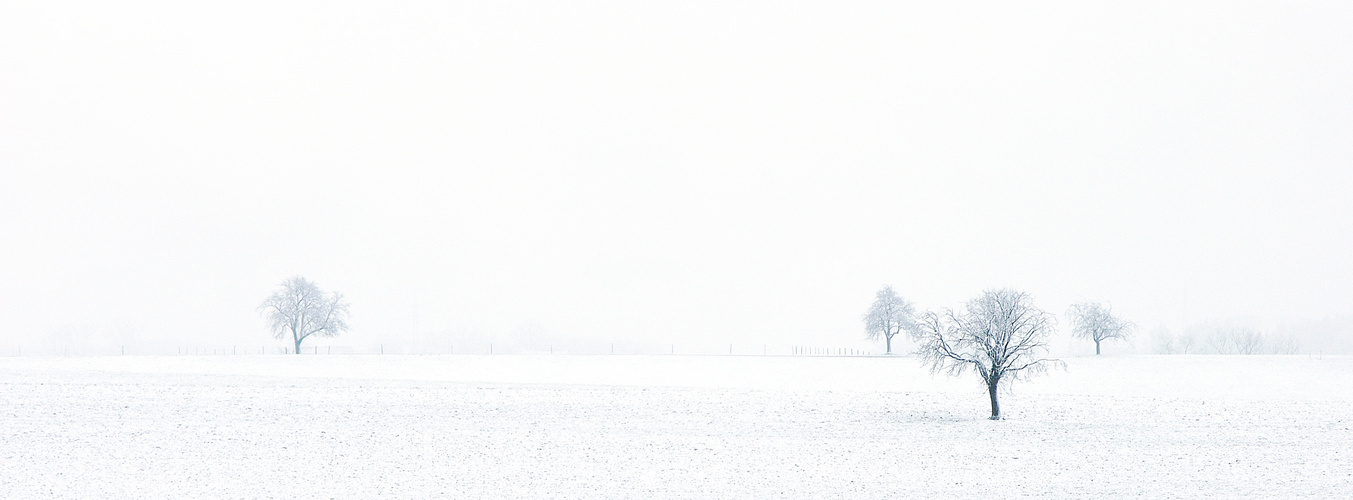 Der Tag als der Nebel kam