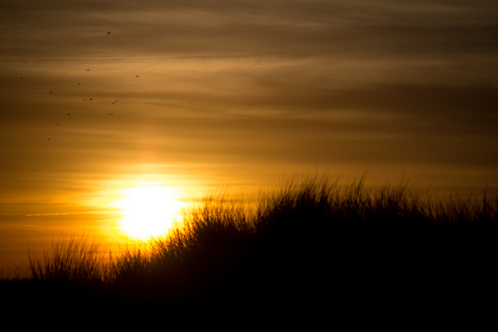 Der Tag am Meer  **