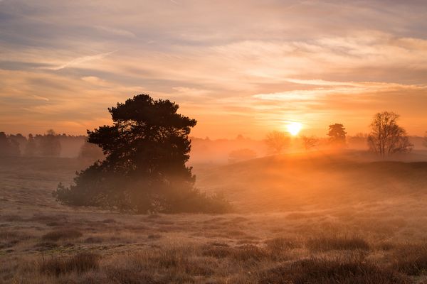 Der Tag beginnt -28-