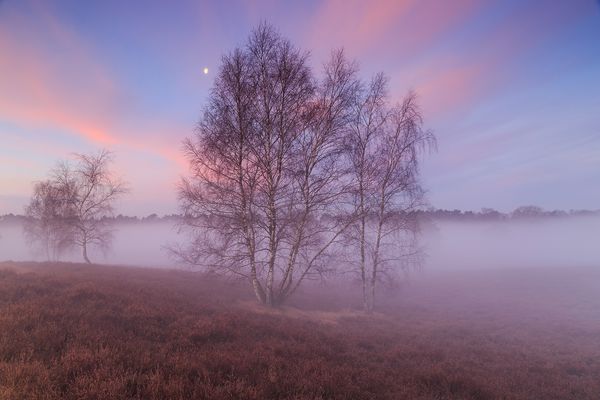 Der Tag beginnt -29-