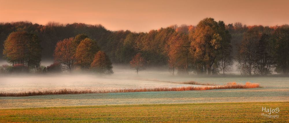 Der Tag beginnt