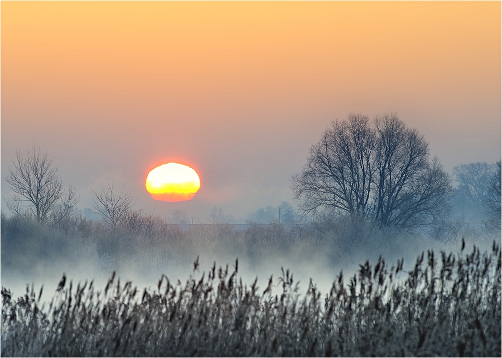 Der Tag beginnt