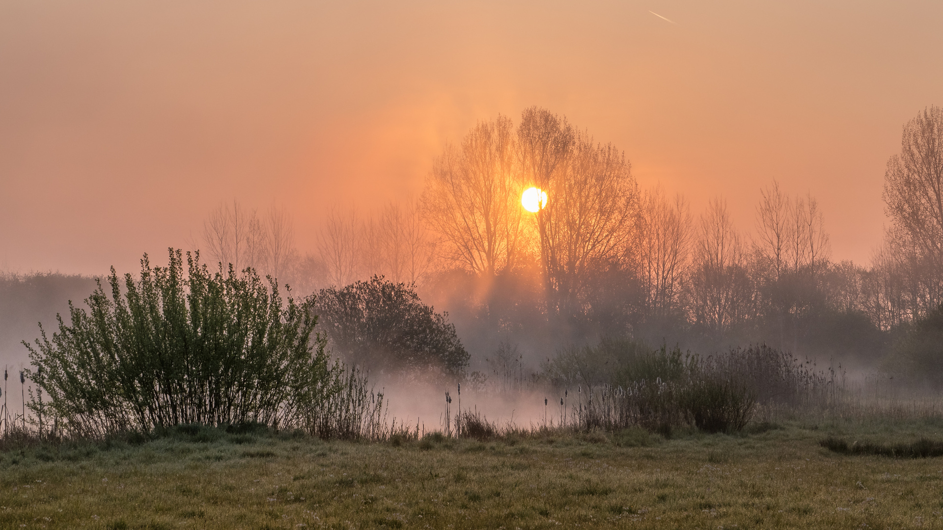 Der Tag beginnt