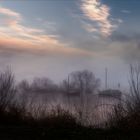 Der Tag beginnt - am Rhein bei Eltville