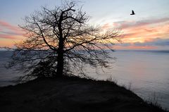 Der Tag beginnt auf Rügen