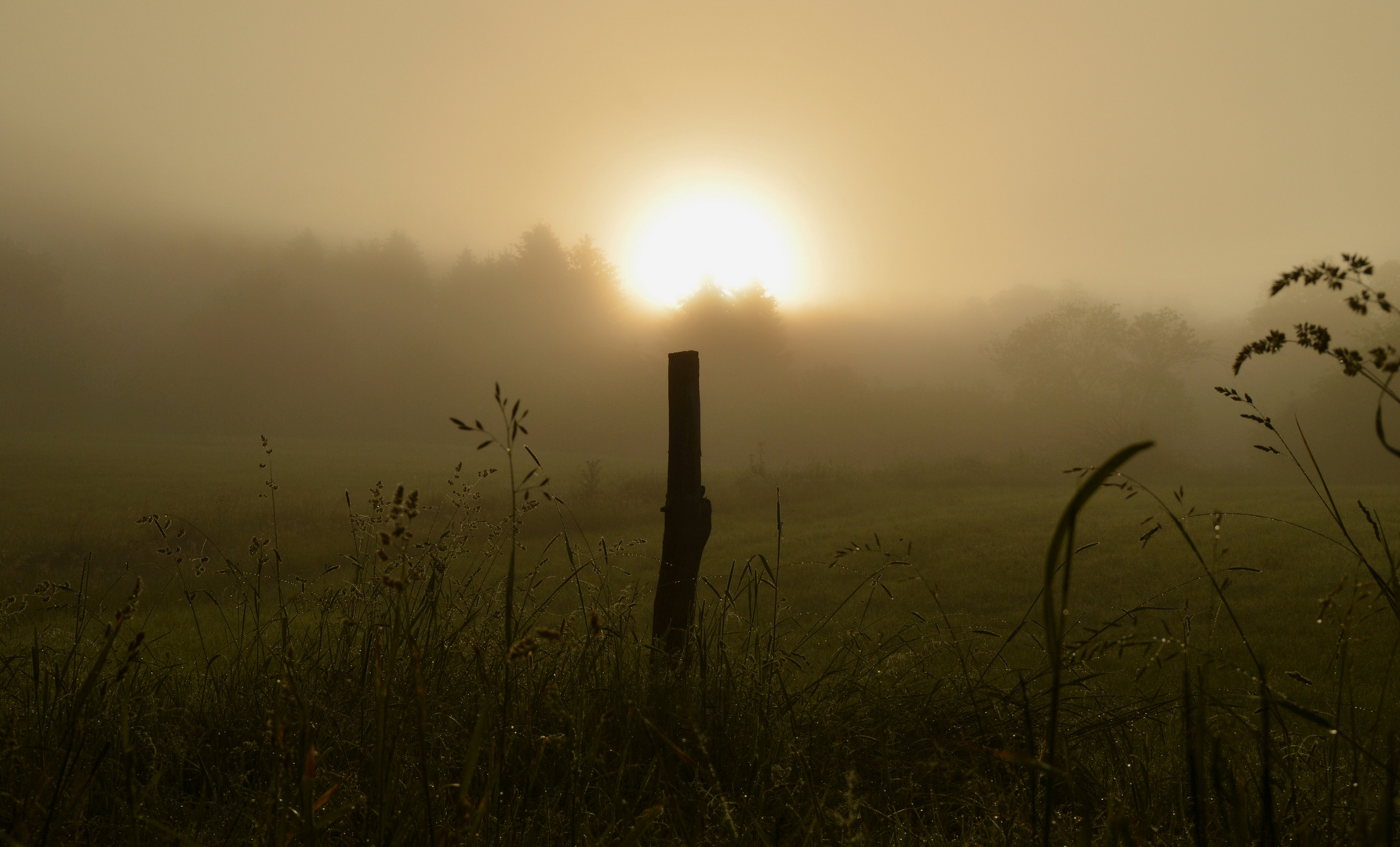 Der Tag beginnt ...