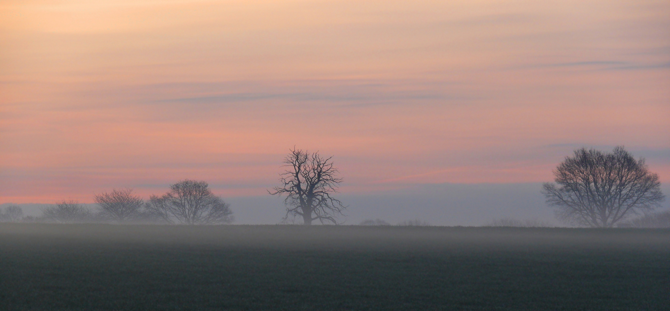 Der Tag beginnt