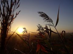 Der Tag beginnt mit Sonnenschein