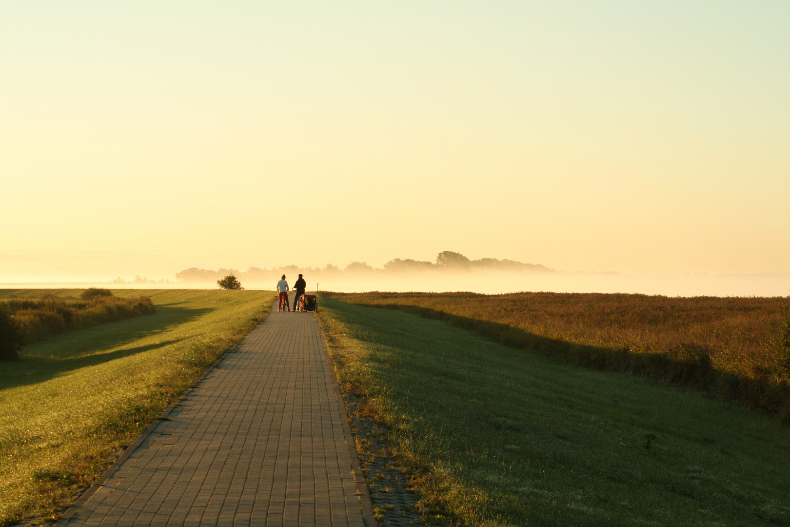 Der Tag beginnt - Zingst/Darß, am Bodden