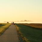 Der Tag beginnt - Zingst/Darß, am Bodden