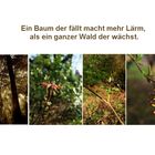 Der Tag der Erde - der Wald