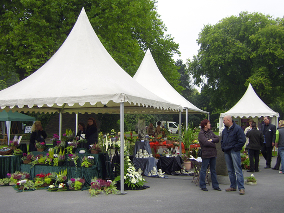 Der Tag des Friedhofes 15