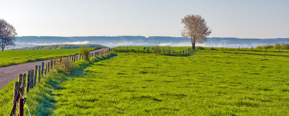 Der Tag erwacht, der Nebel weicht