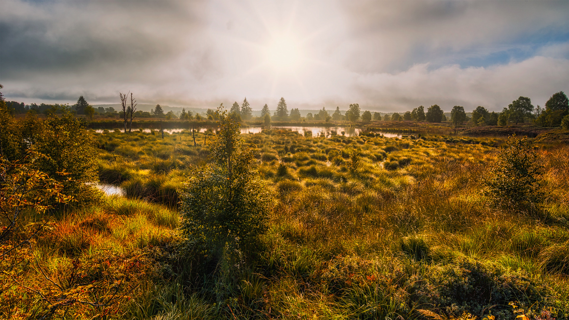 Der Tag erwacht im Hochmoor