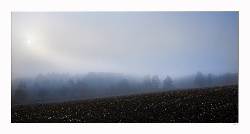 Der Tag erwacht im Nebel