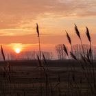 Der Tag erwacht - Sonnenaufgang