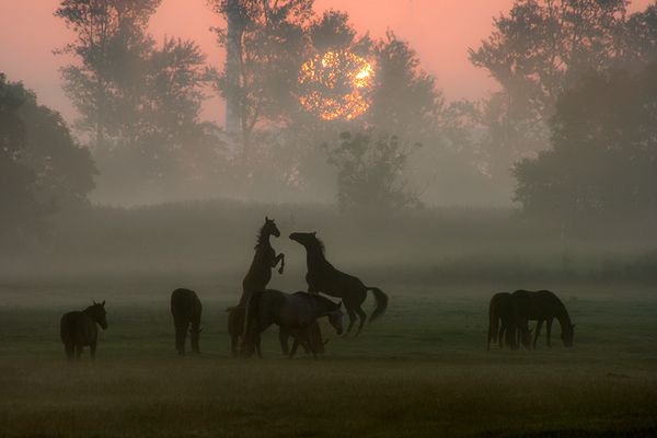 Der Tag fängt ja gut an!