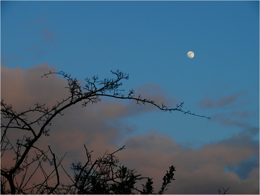 Der Tag geht und überlässt dem Mond seinen Platz am Himmel