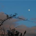 Der Tag geht und überlässt dem Mond seinen Platz am Himmel