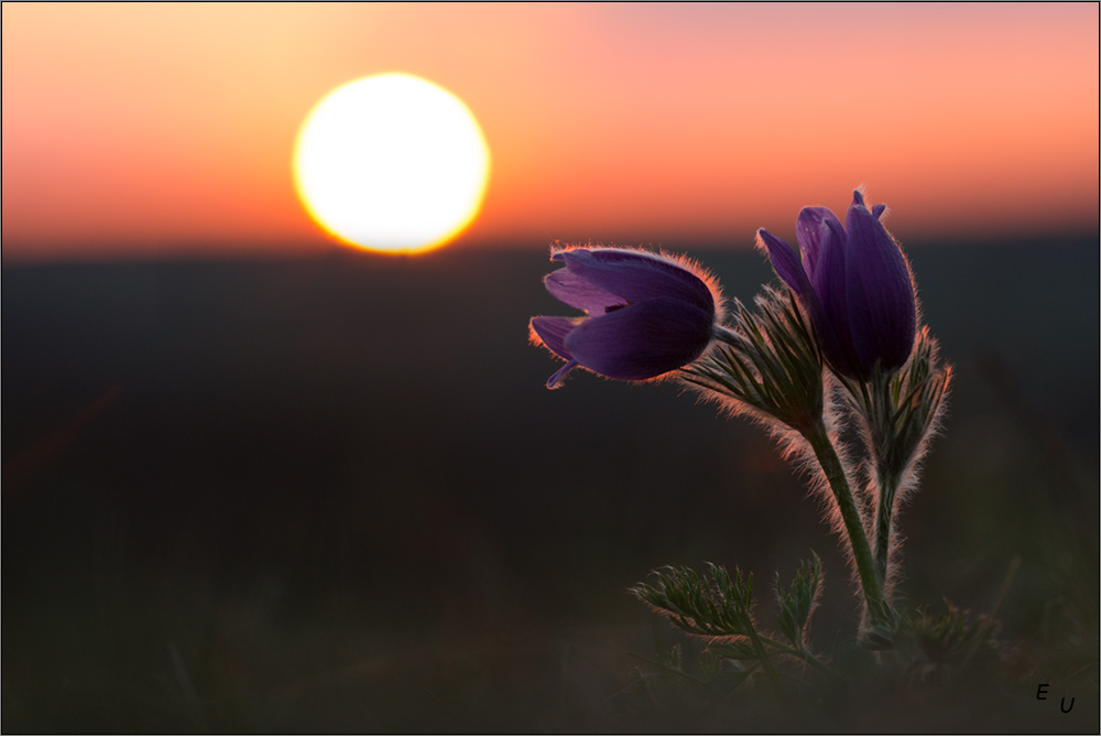 Erfolgreich bloggen lernen