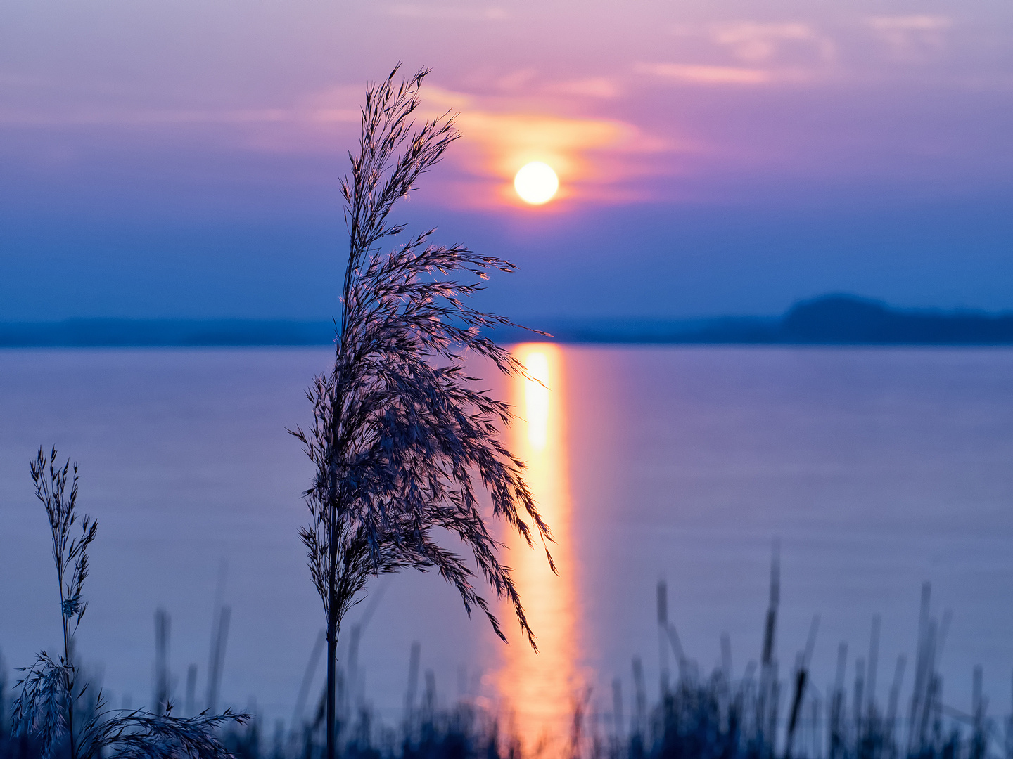 Erfolgreich bloggen lernen