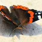 Der Tag geht zu Ende, die Schatten werden länger