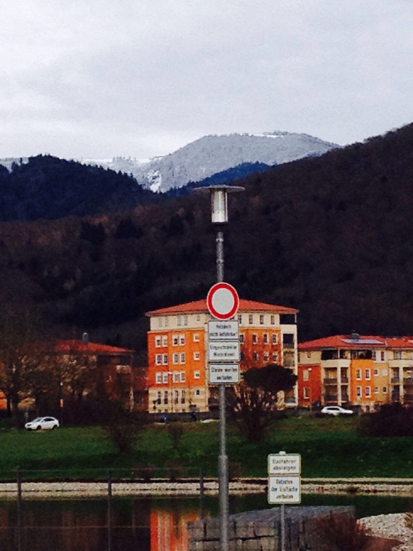 Der Tag heute oben Schnee und unten grün!!! (Kandel)