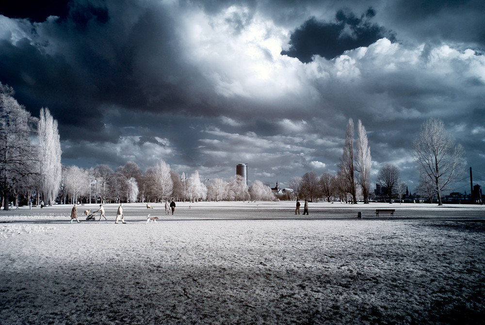 Der Tag im Park II