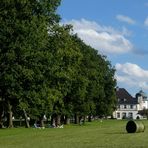 Der Tag ist ene gerollte Wiesn