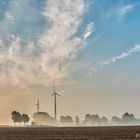 Der Tag kommt, der Nebel geht