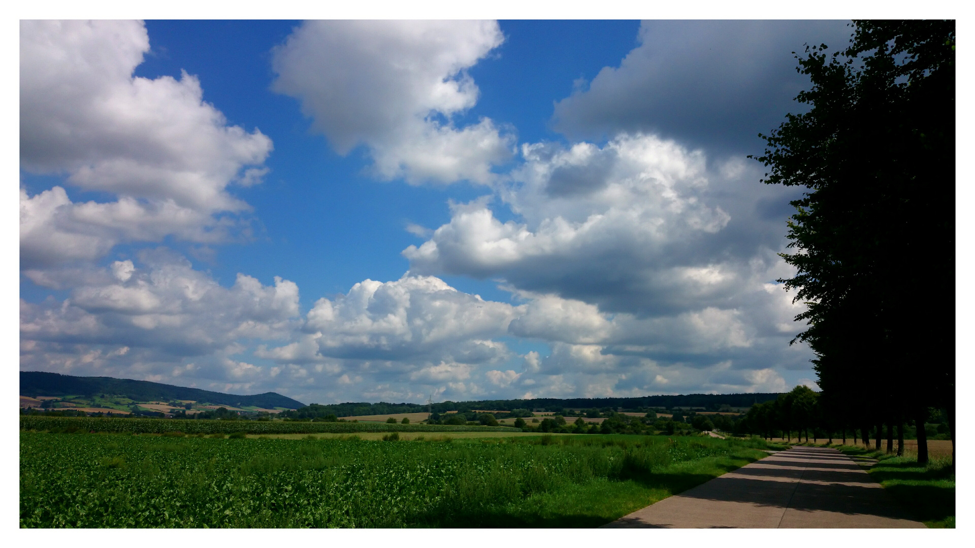 Der Tag nach dem Regen......