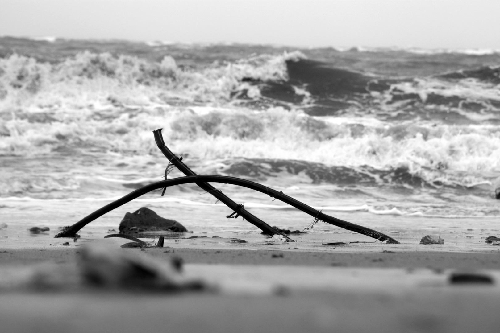 Der Tag nach den Regen