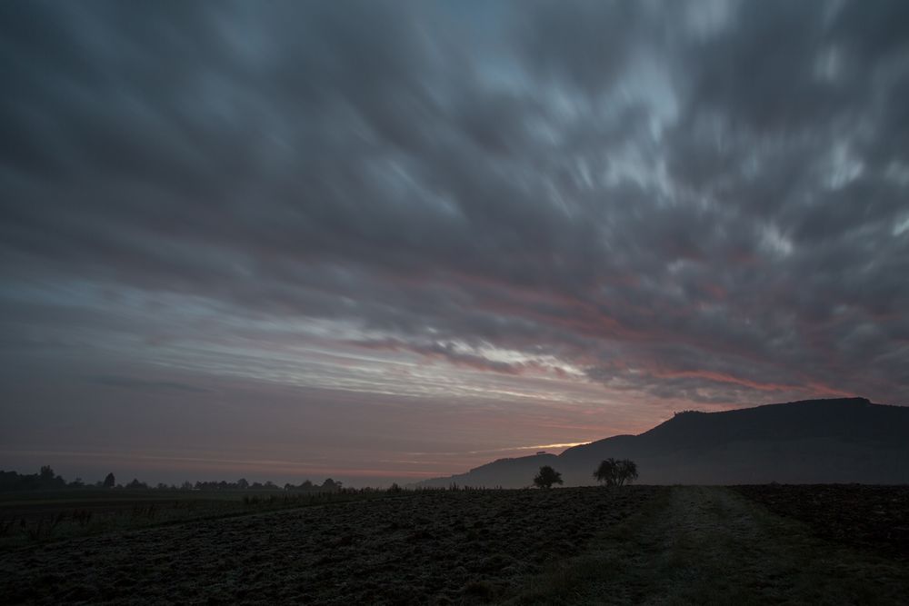 Der Tag schleicht sich ins Feld.....