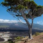 der Tajogaite, sein großes Lavafeld und La Laguna