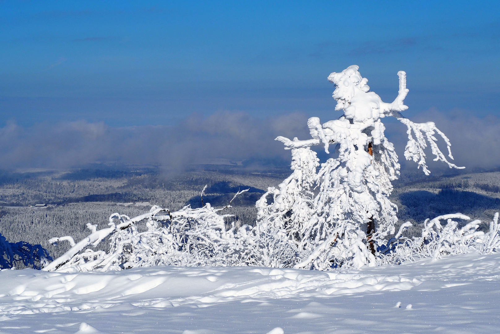 Der Tanz der Winterhexe