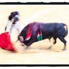 Der Tanz des Toros