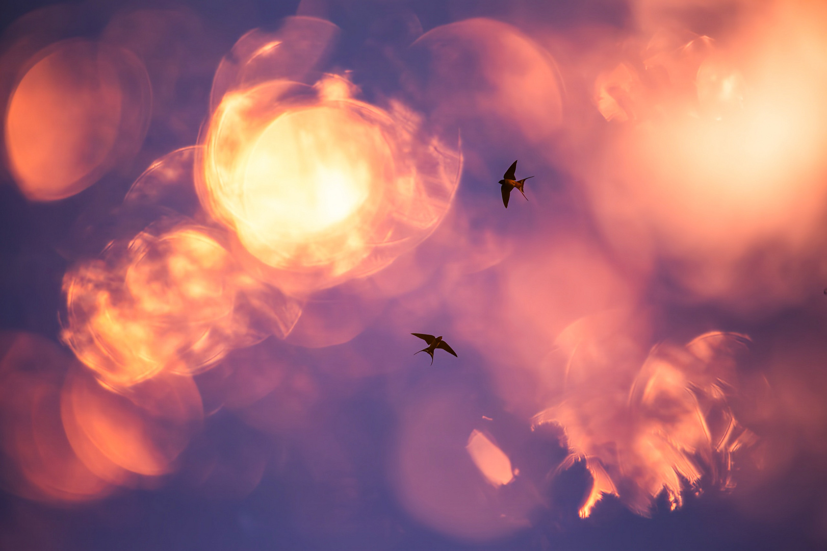 Der Tanz zwischen den Flares