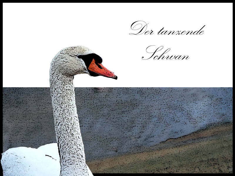 Der tanzende Schwan