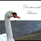 Der tanzende Schwan