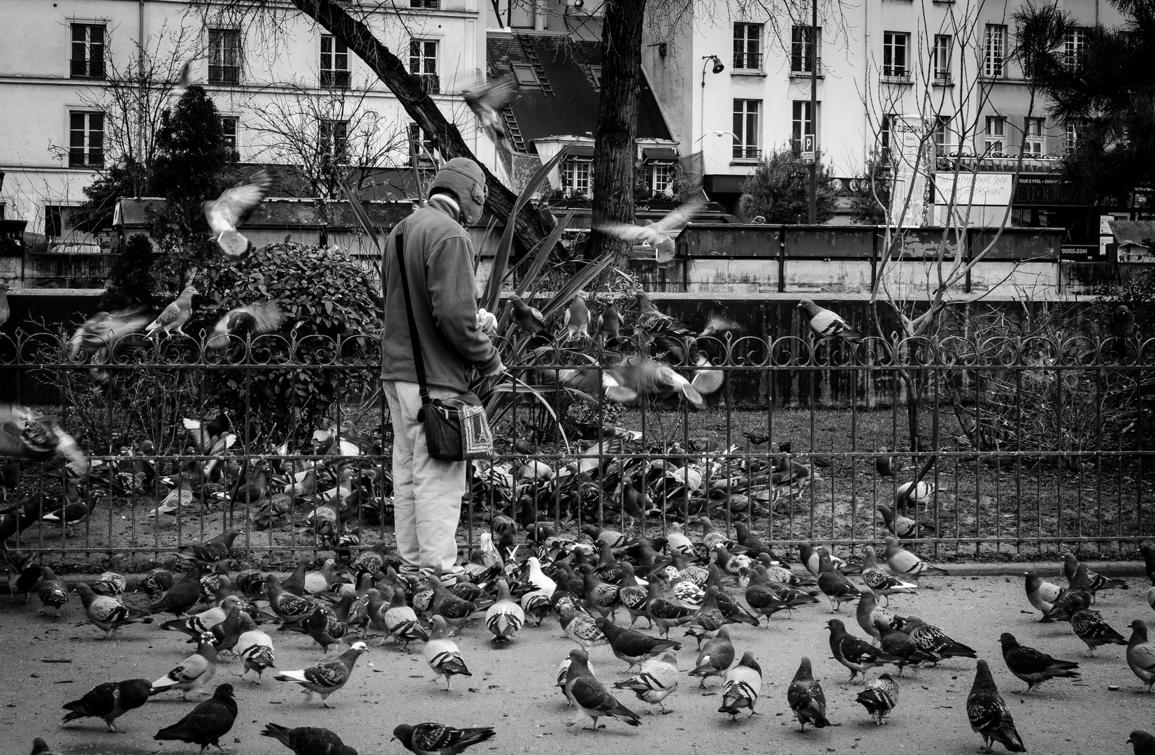 Der Taubenmann von Notre-Dame