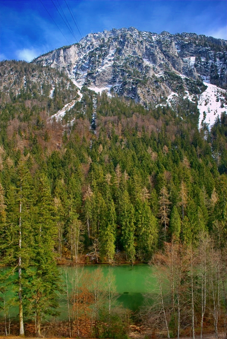 Der Taubensee