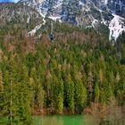 Der Taubensee