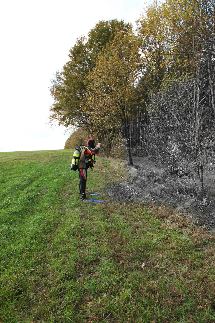 Der Taucher vom Silberwald...