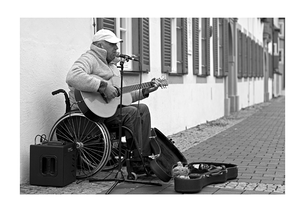 der Teddy im Gitarrenkasten.....